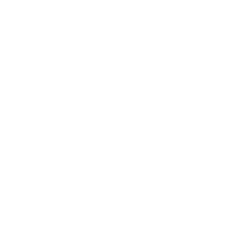 LSB LOGO