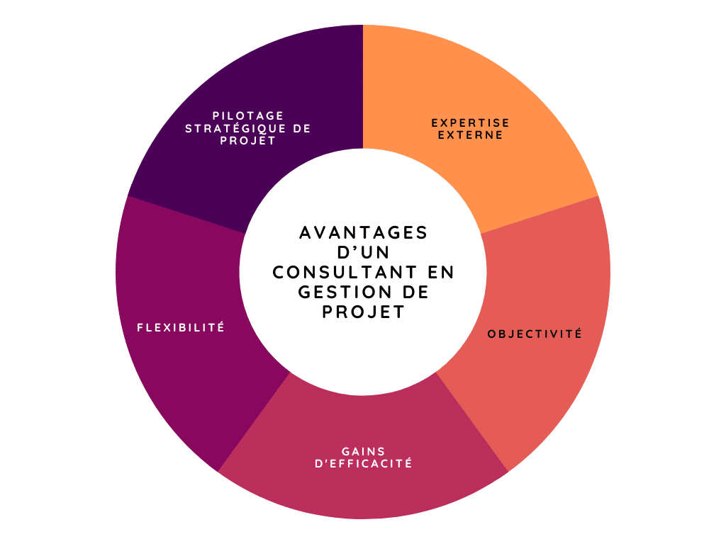 avantages dun consultant en gdp