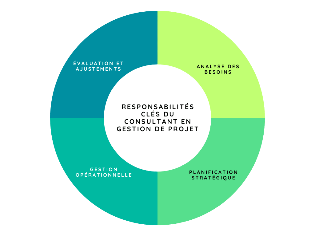 responsabilites cles du consultant en gdp